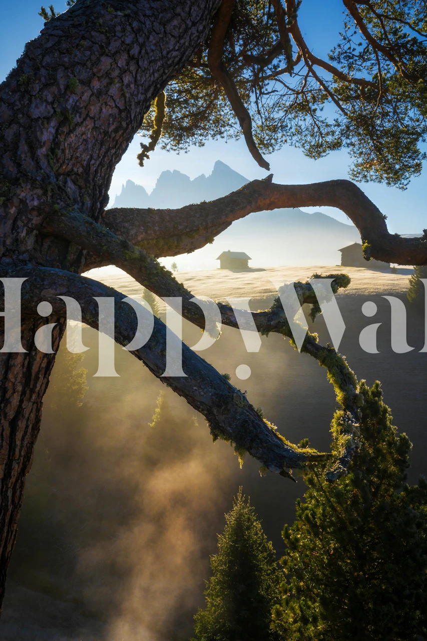 Papel pintado The mountain tree en una habitación