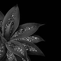 Agave Finesse Glitter Glam 7 behang