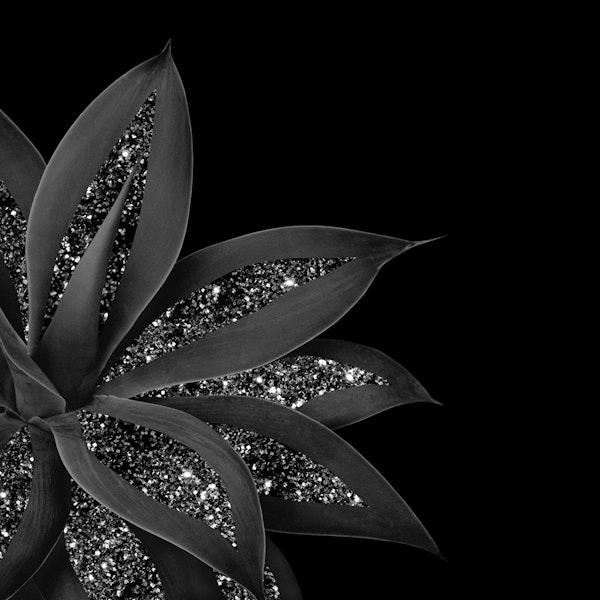 Agave Finesse Glitter Glam 7