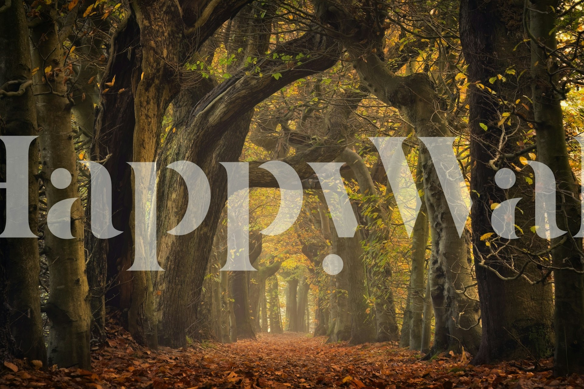 The old alley wallpaper in a room