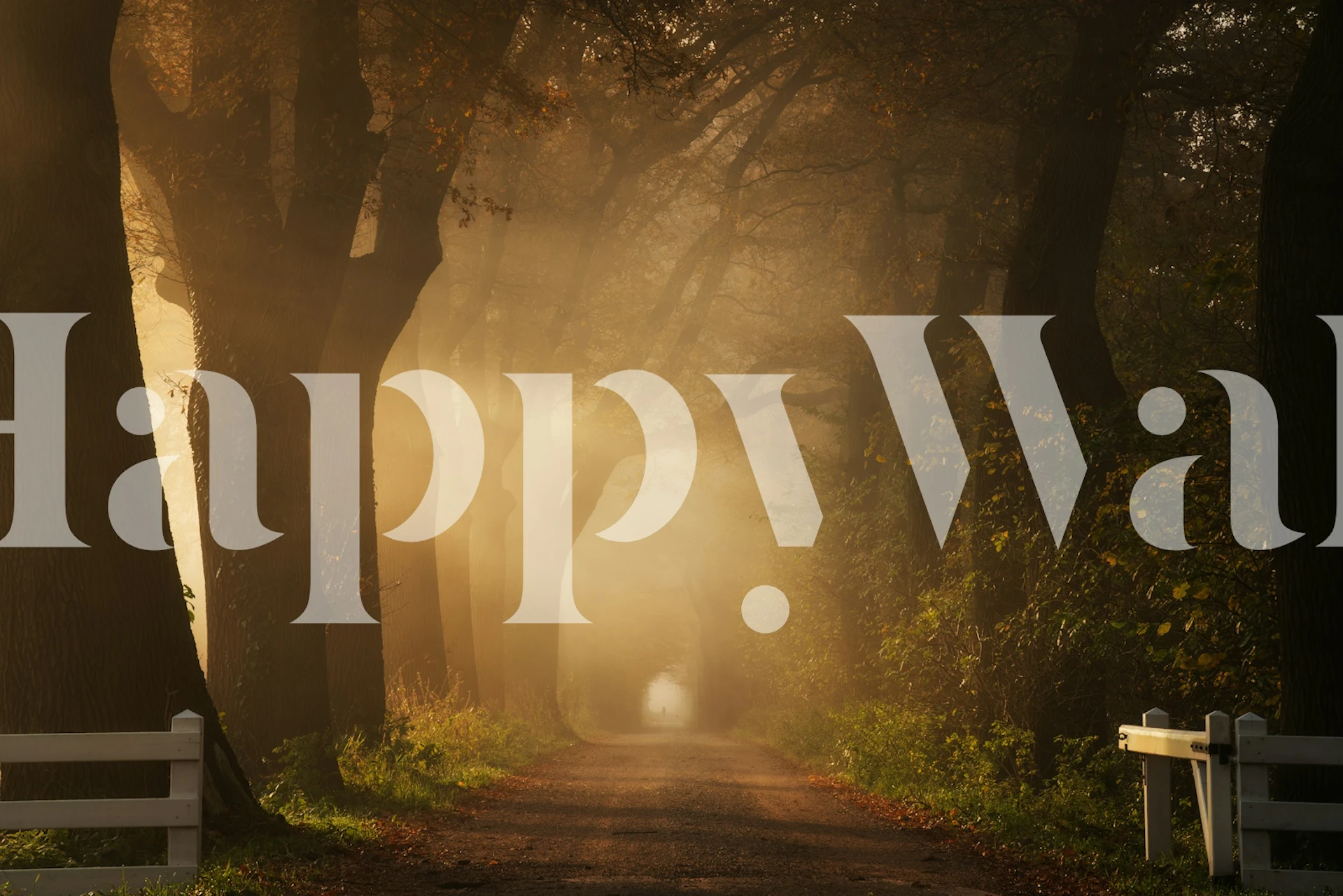 Fresque murale présentant un chemin serein