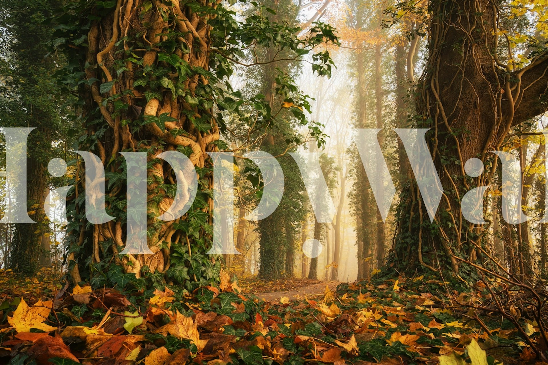 Camera con design di carta da parati ispirato alle fiabe