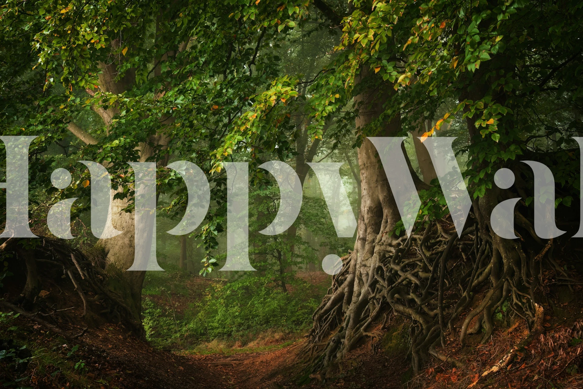 Forest scene with rooted trees and green foliage wallpaper