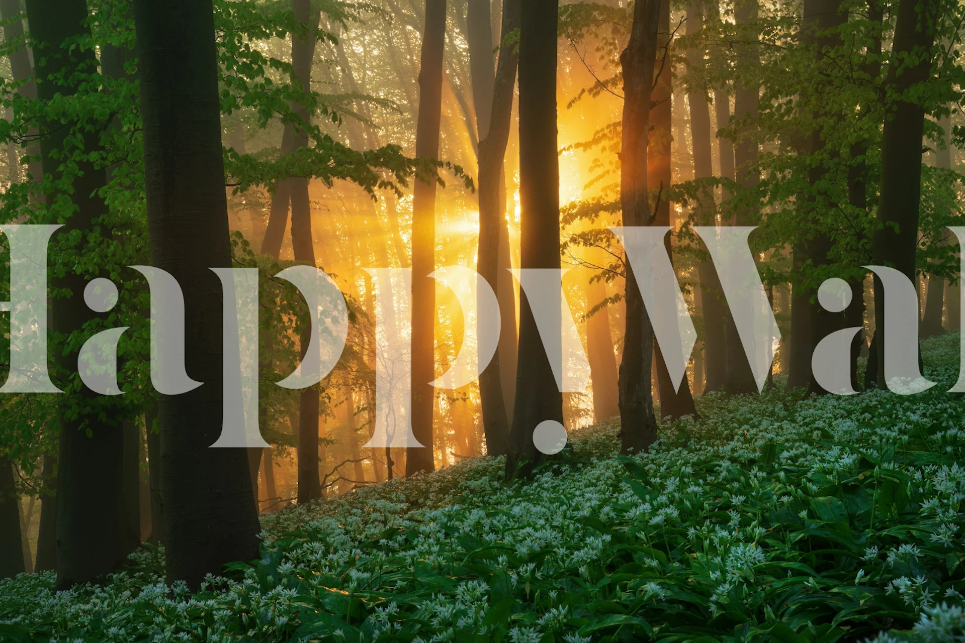 Wild garlic forest with green foliage and white flowers wallpaper