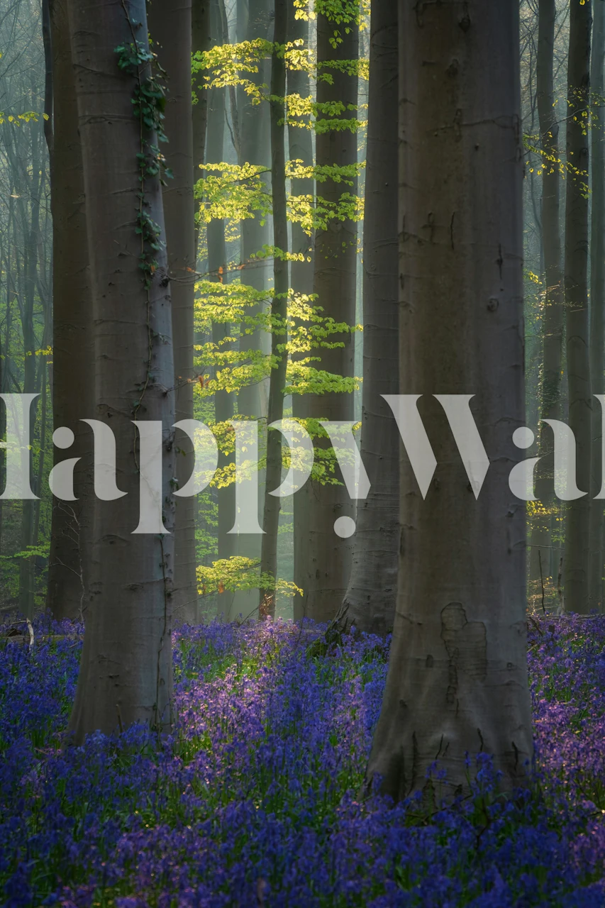 Wall mural of a forest with blue flowers and sunbeams