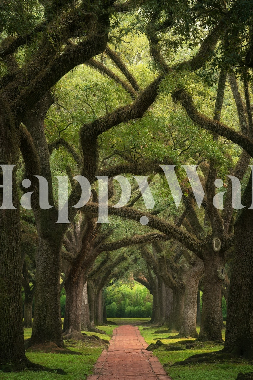 Old oaks wallpaper design in a room