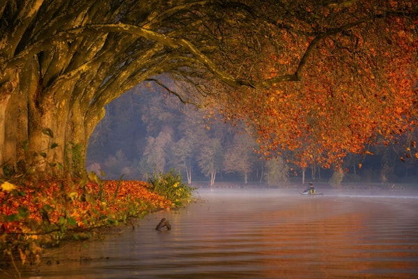 Paddling in paradise