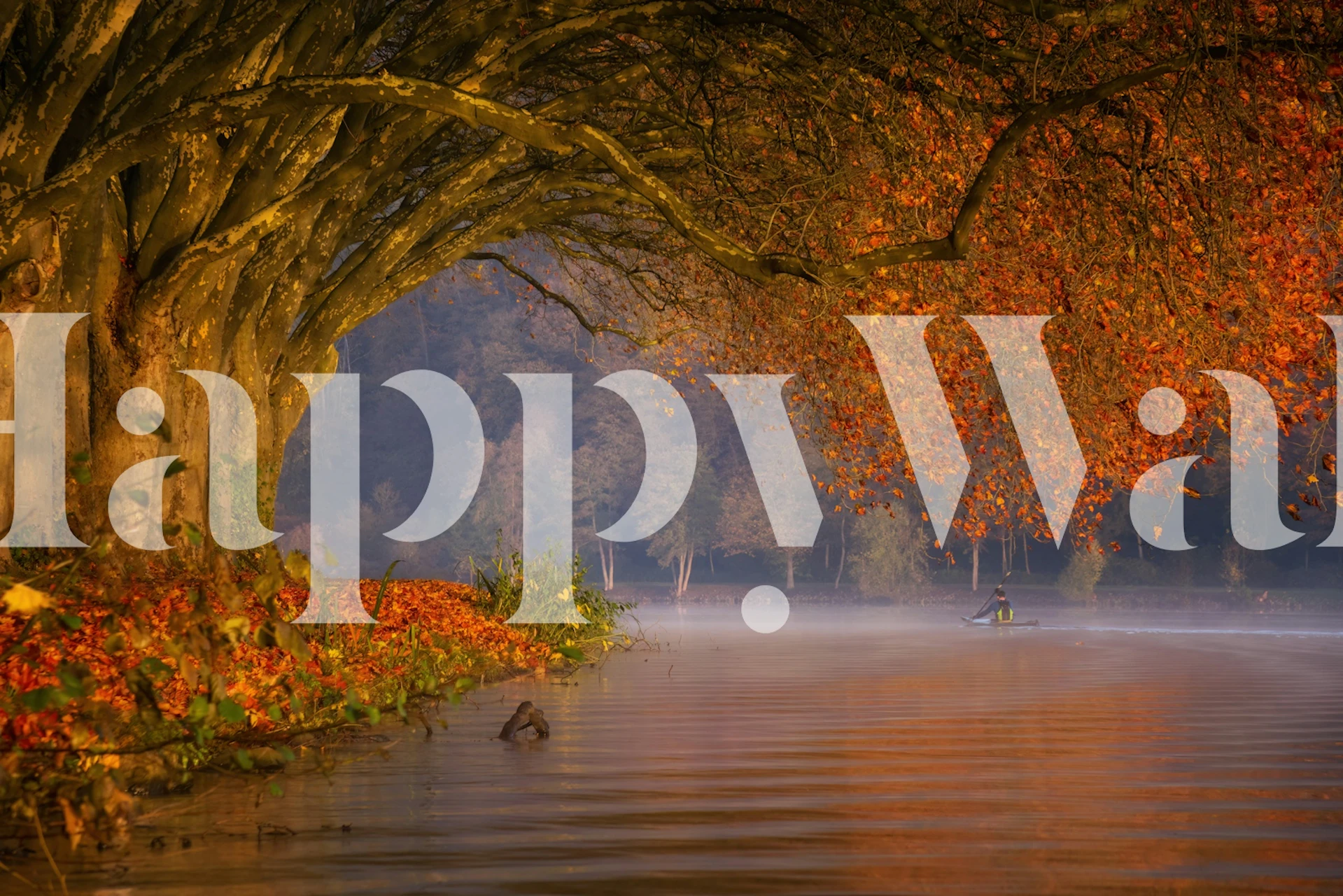 Paddling in paradise wallpaper design