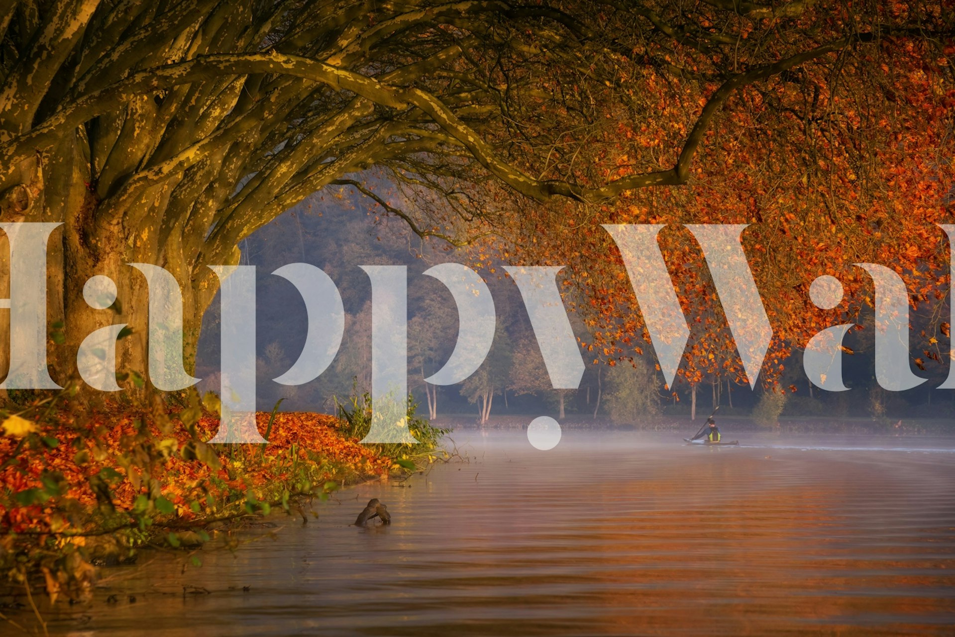 Návrh tapety Paddling in paradise