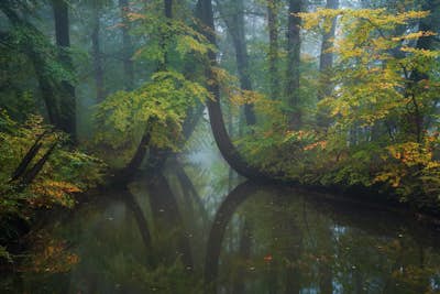 Τοιχογραφία
