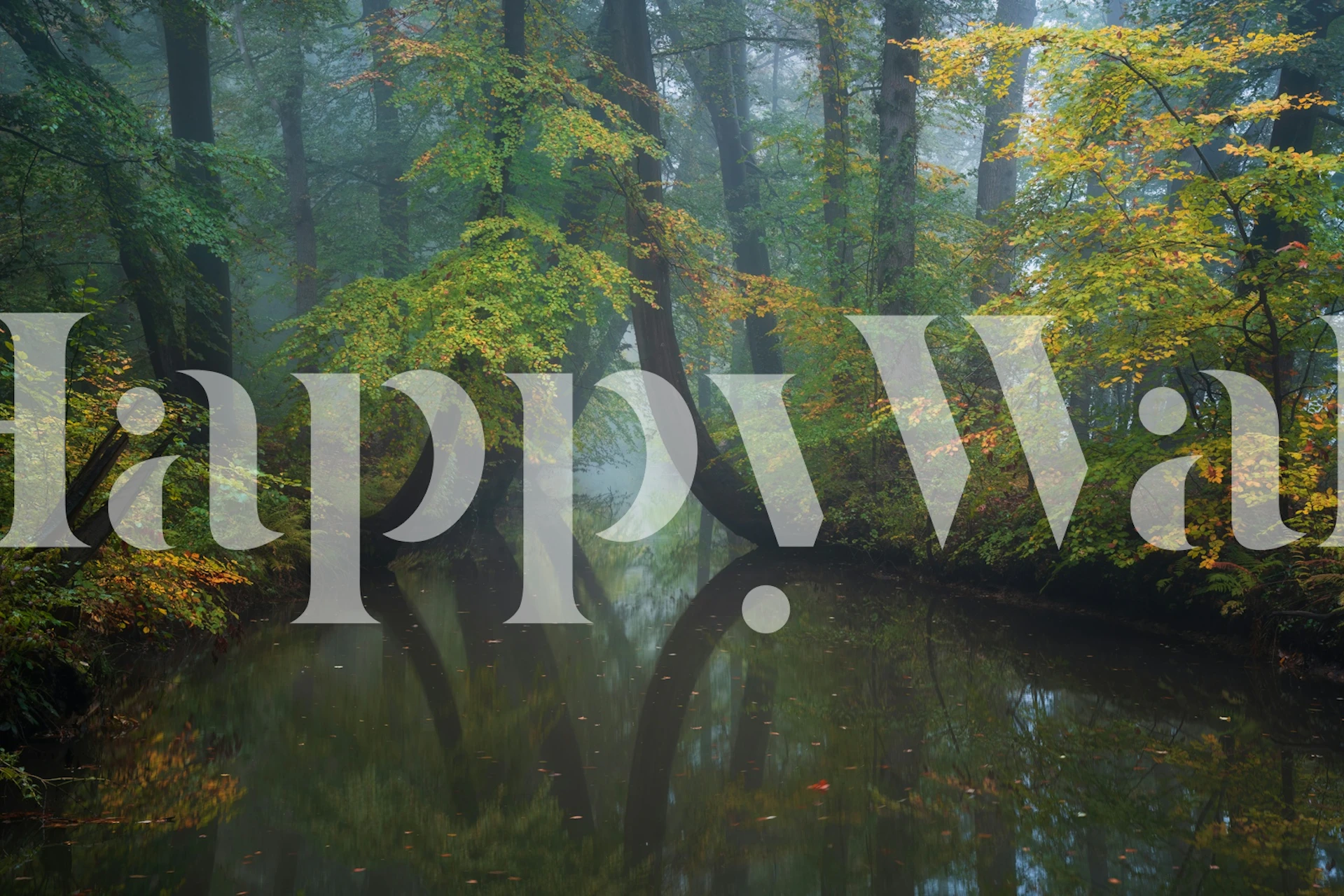 Bent trees reflected in water, green and blue tones, nature wallpaper