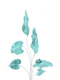 Tropical Leaves Finesse 1