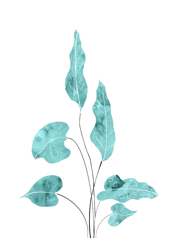 Tropical Leaves Finesse 1