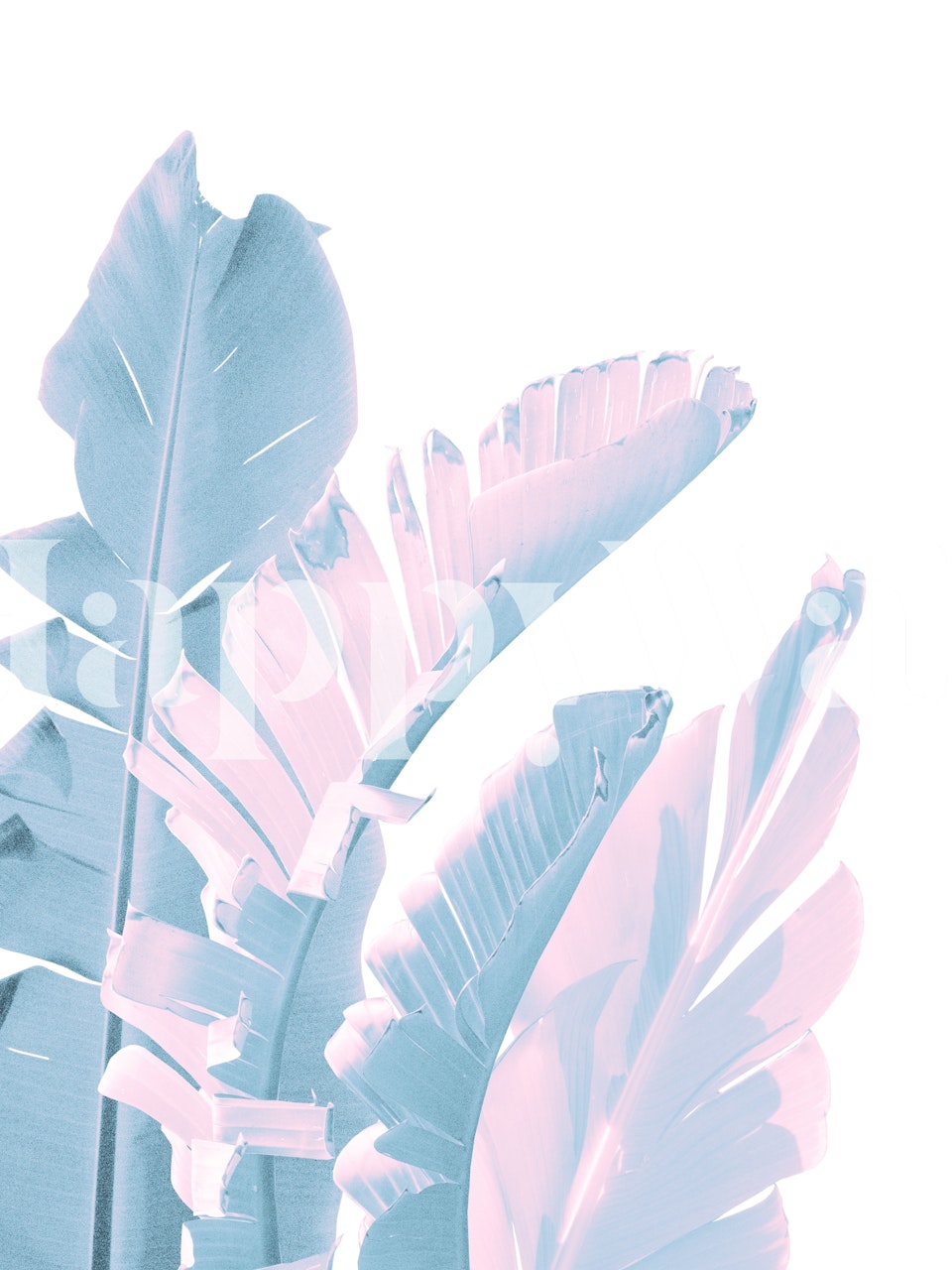 Stylizowana fototapeta z liśćmi bananowca w spokojnej palecie barw