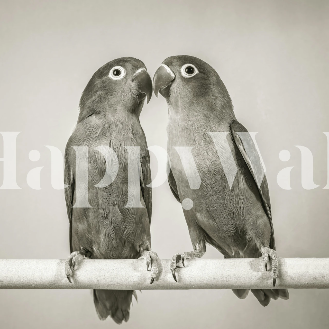 Two kissing birds in black and white wallpaper