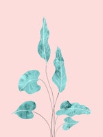 Tropical Leaves Finesse 2 tapeta