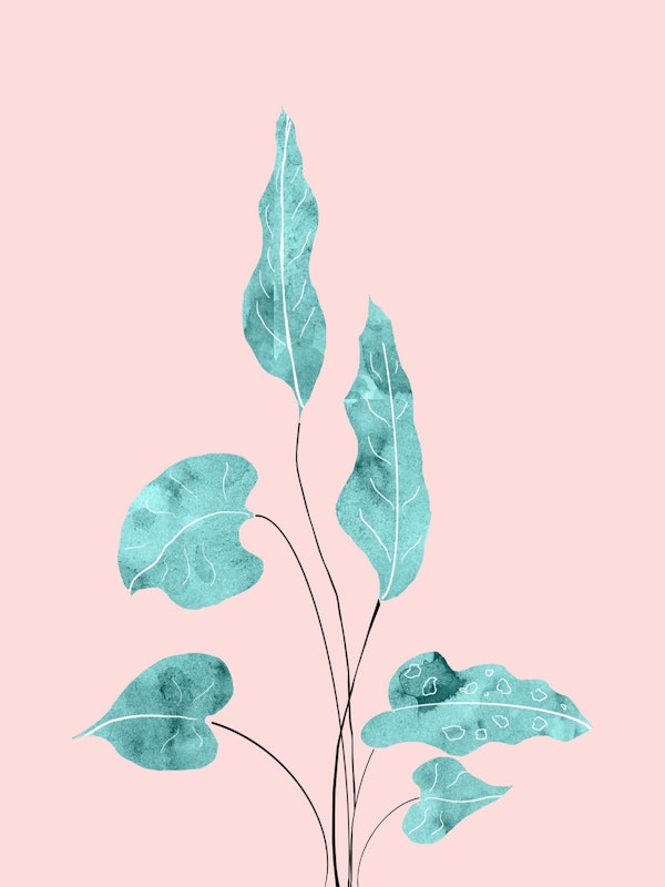 Tropical Leaves Finesse 2
