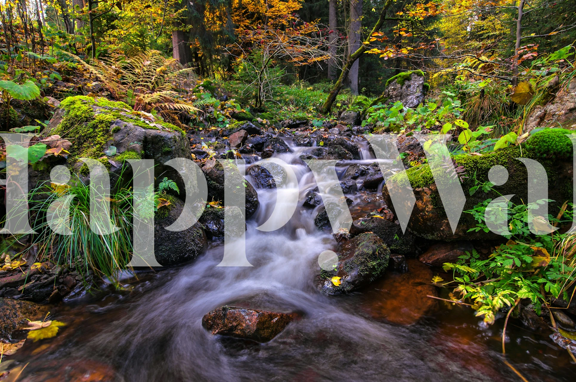 Zidna slika jesenskog potoka sa šarenim jesenjim lišćem i vodom koja teče