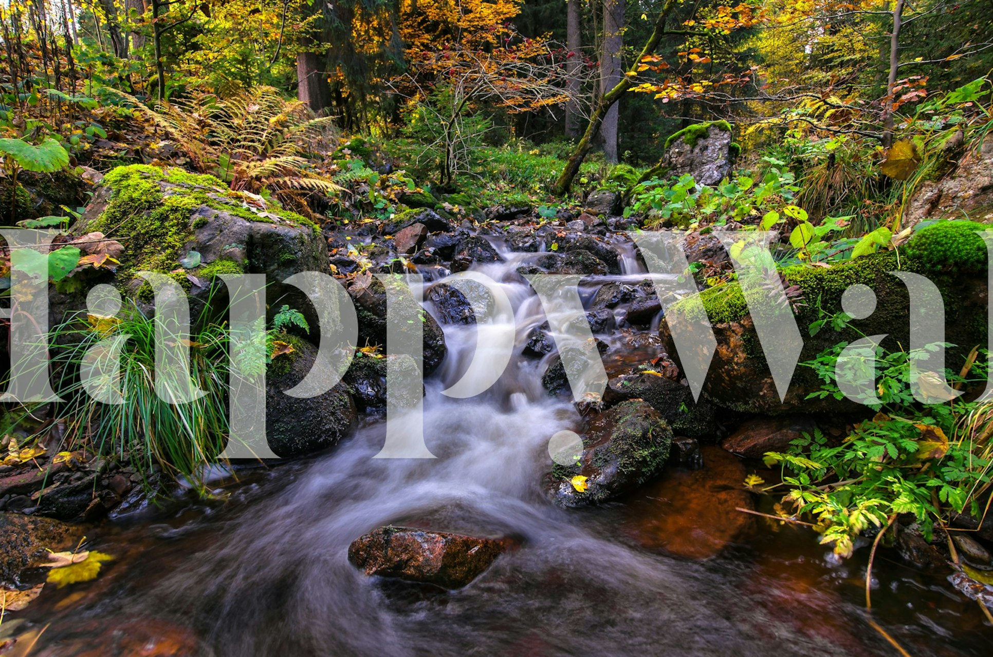 Autumn stream mural με πολύχρωμα φθινοπωρινά φύλλα και ρέοντα νερά