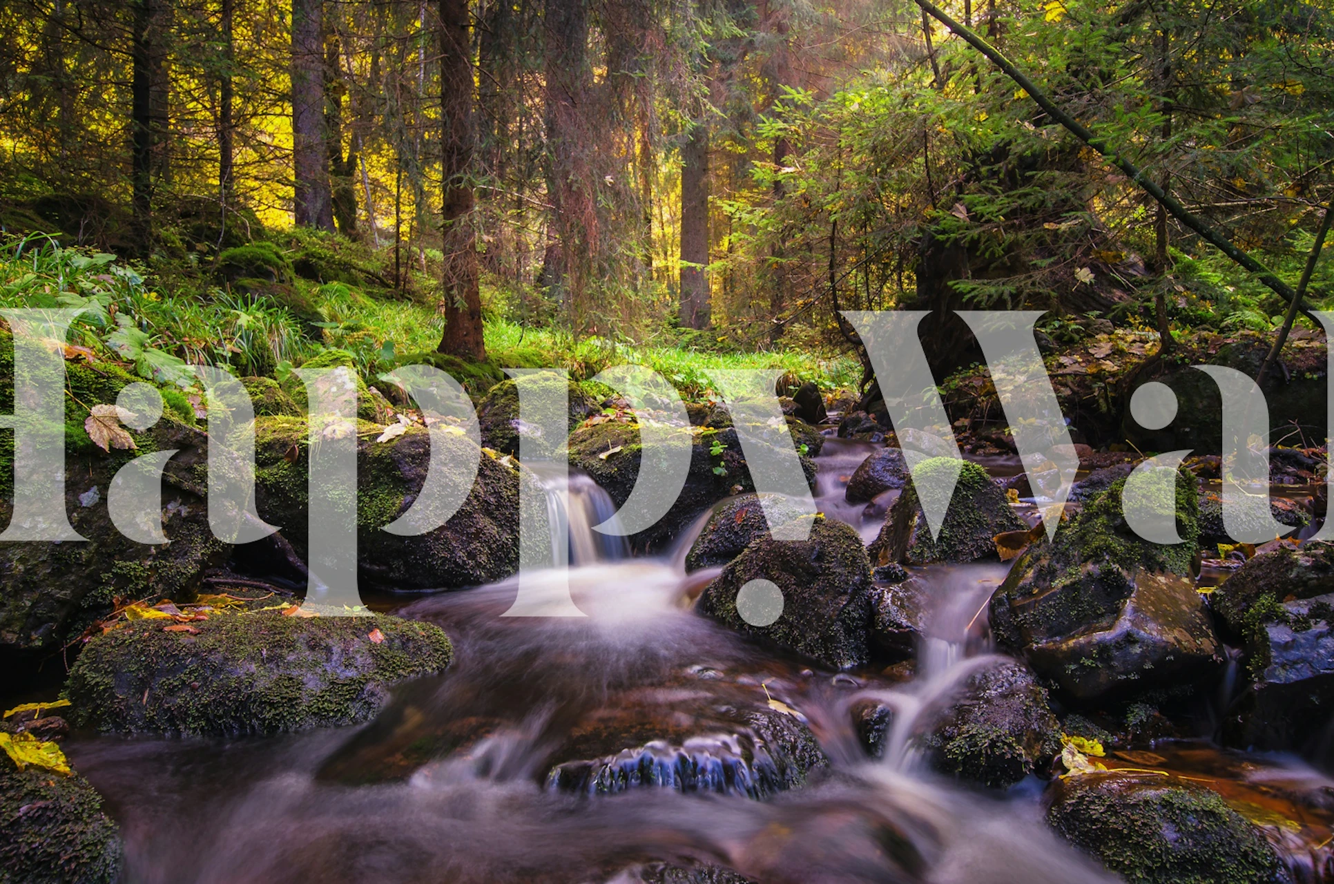 calm waterfall over rocks, lush green forest, nature wallpaper