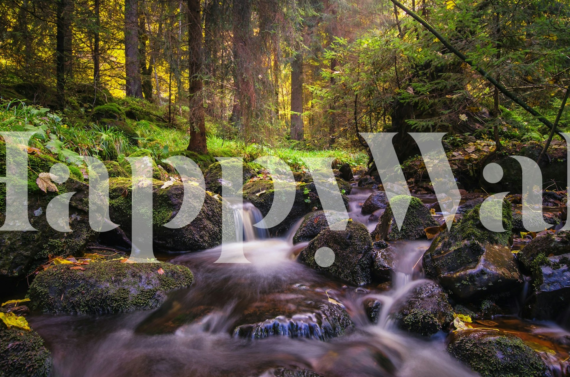 Autumn Forest Tapete mit fließendem Wasser