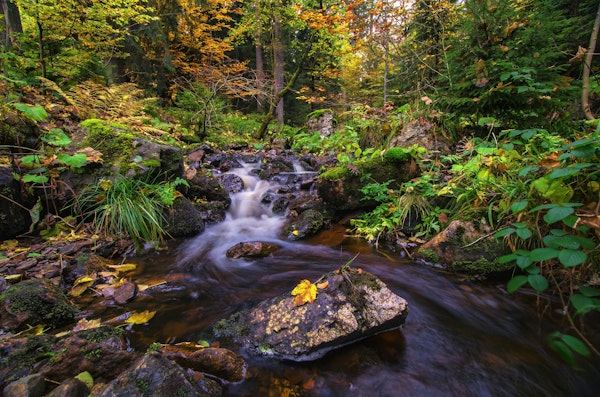 Autumn Waterfal at Forest