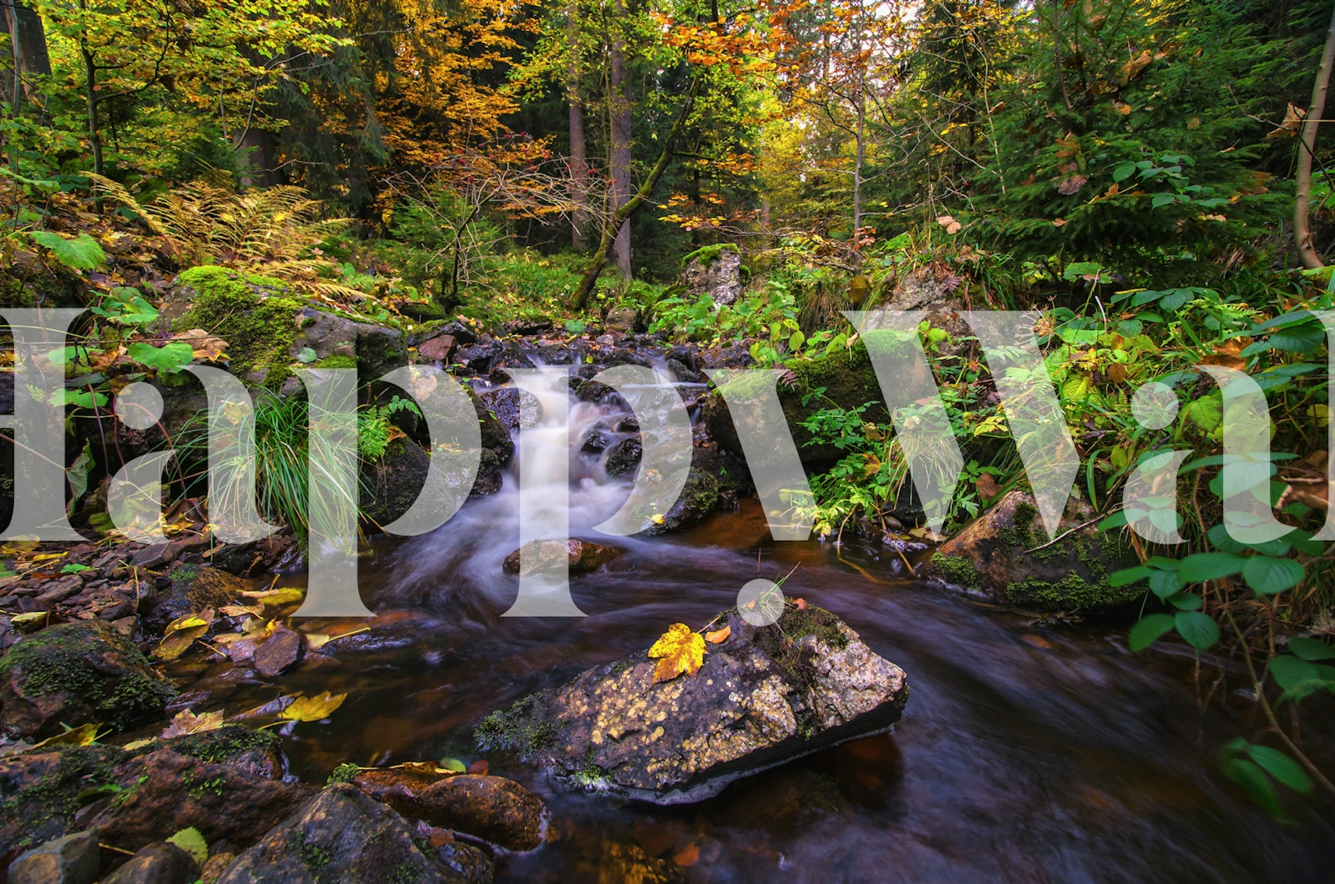 Autumn waterfall in a forest wallpaper