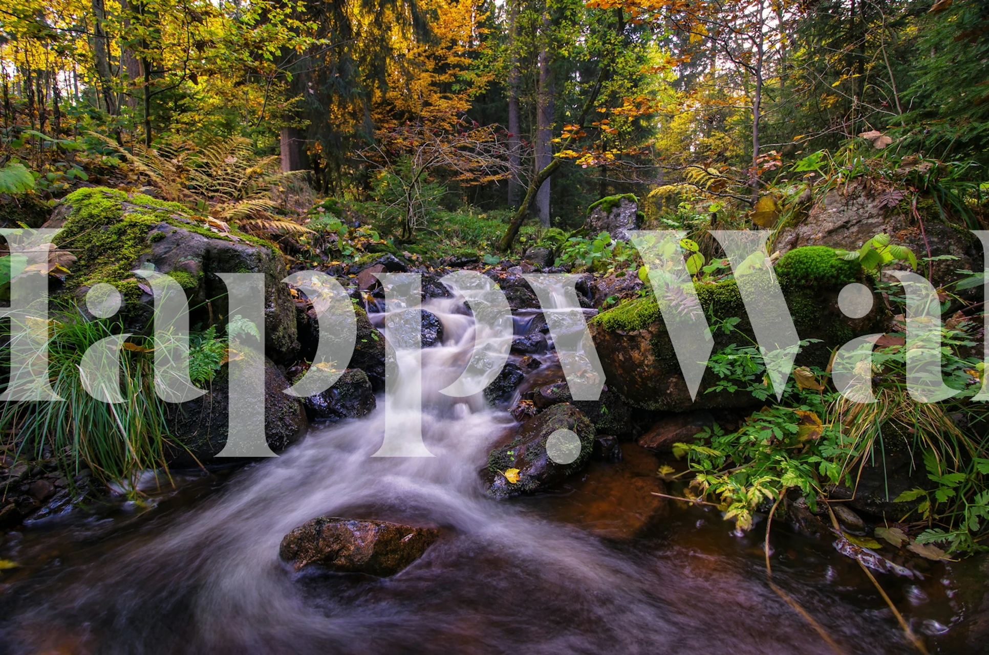 Magical Autumn Waterfall tapet i ett rum