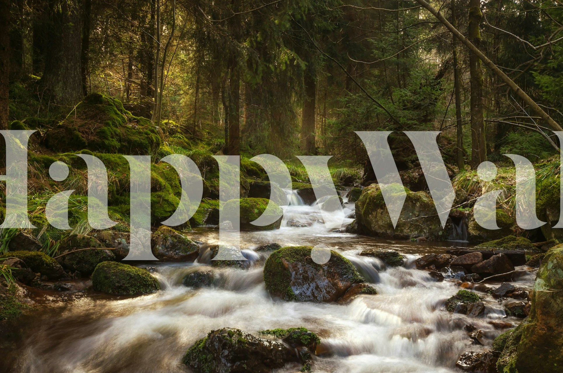 Fairy Water tapet i ett rum