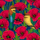 Bee eaters and poppies