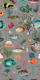 Oceania pattern in grey