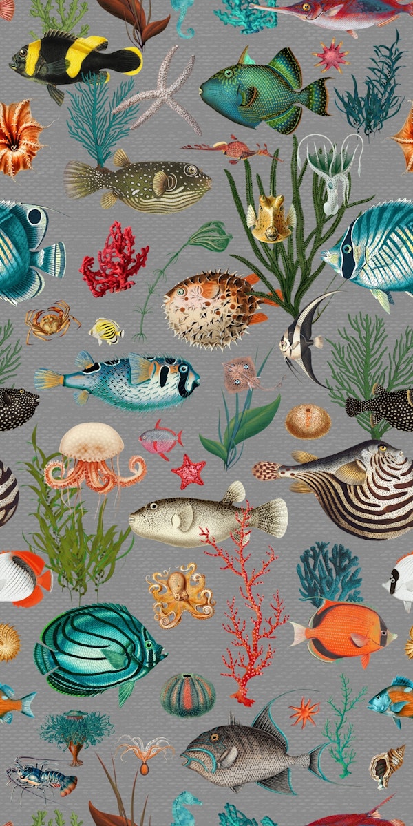 Oceania pattern in grey