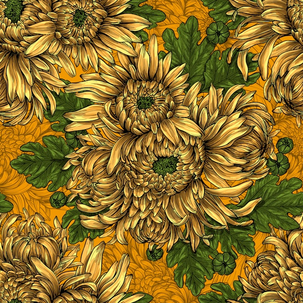 Yellow chrysanthemum flowers