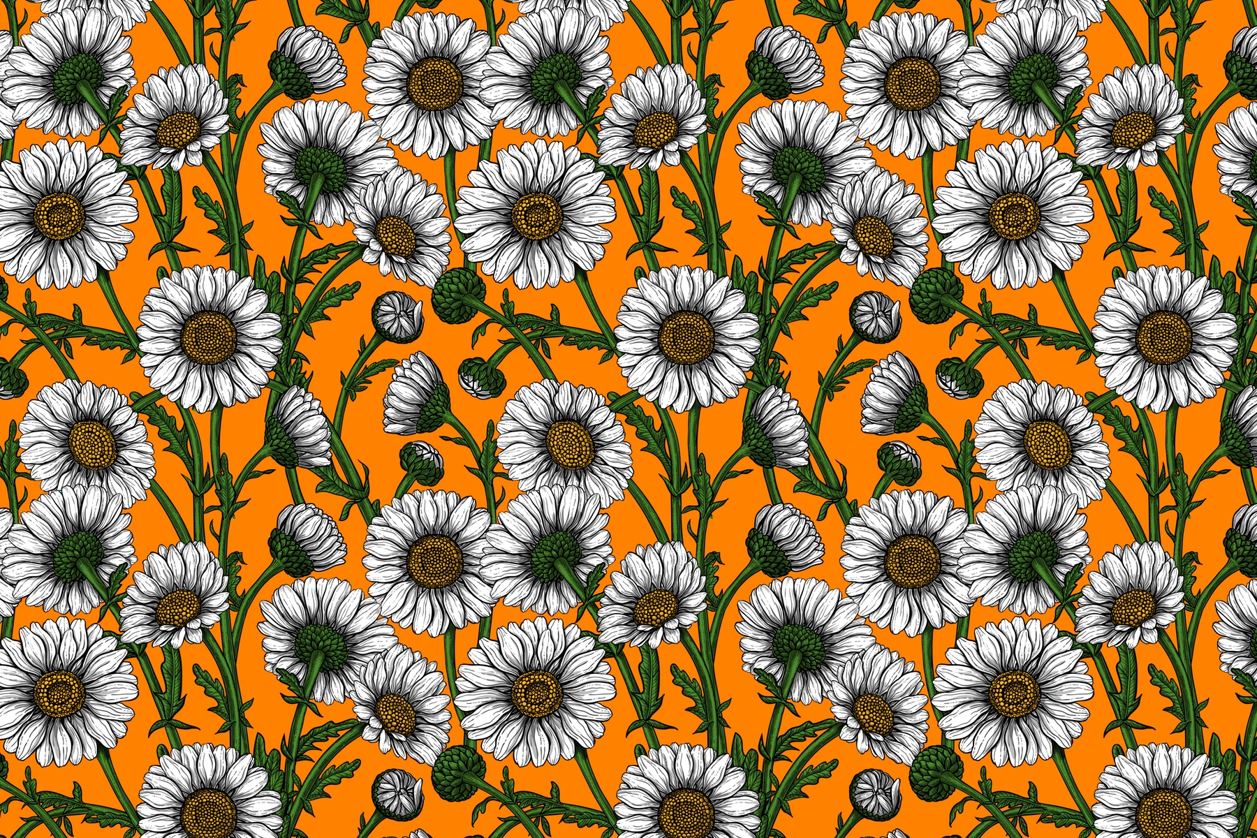 Buy Daisies On Orange Wallpaper Happywall