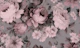 Nostalgic Flower Garden Powder Pink
