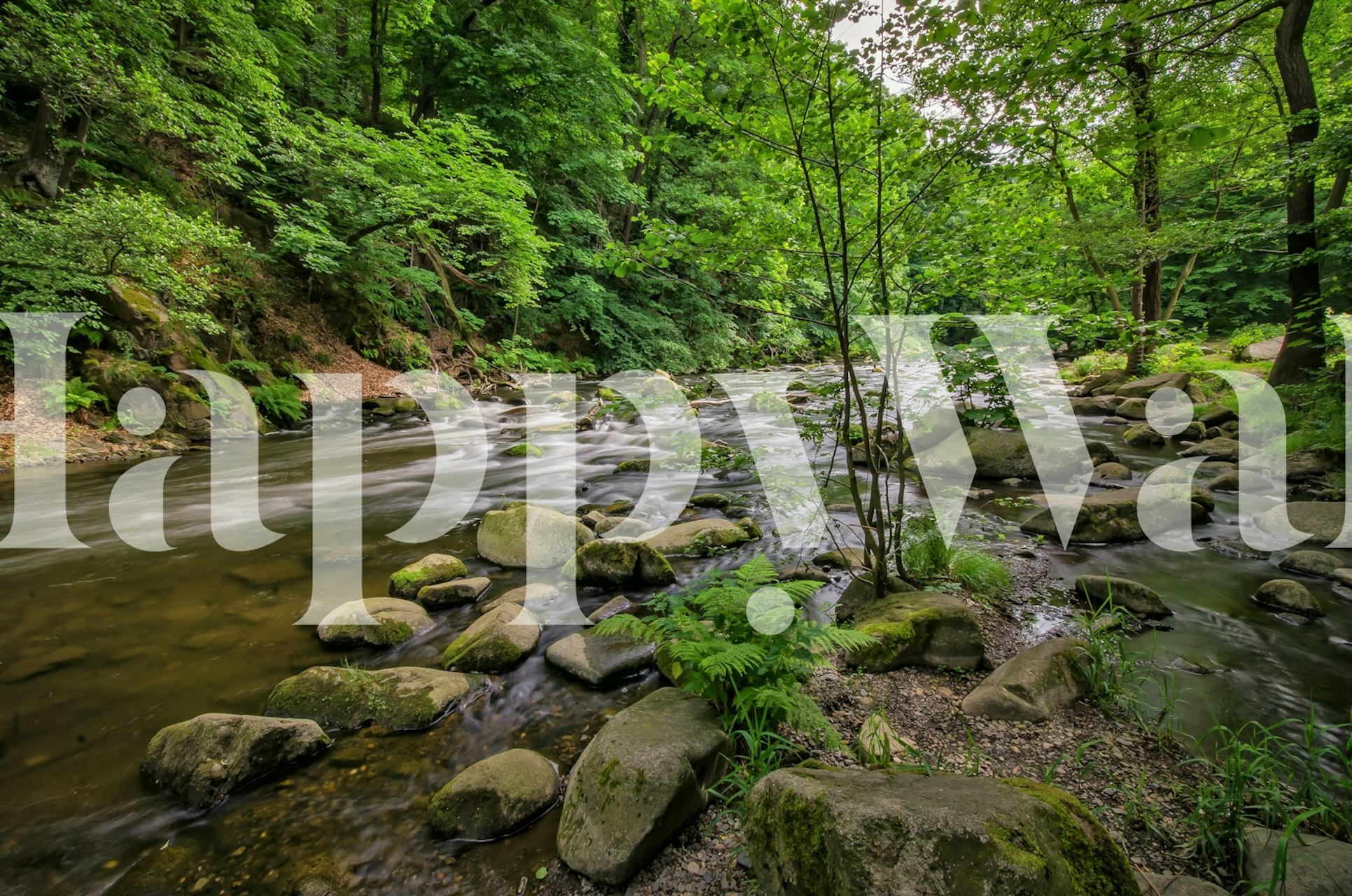 Vægmaleri i skovscene i foråret med et vandløb og frodige grønne områder