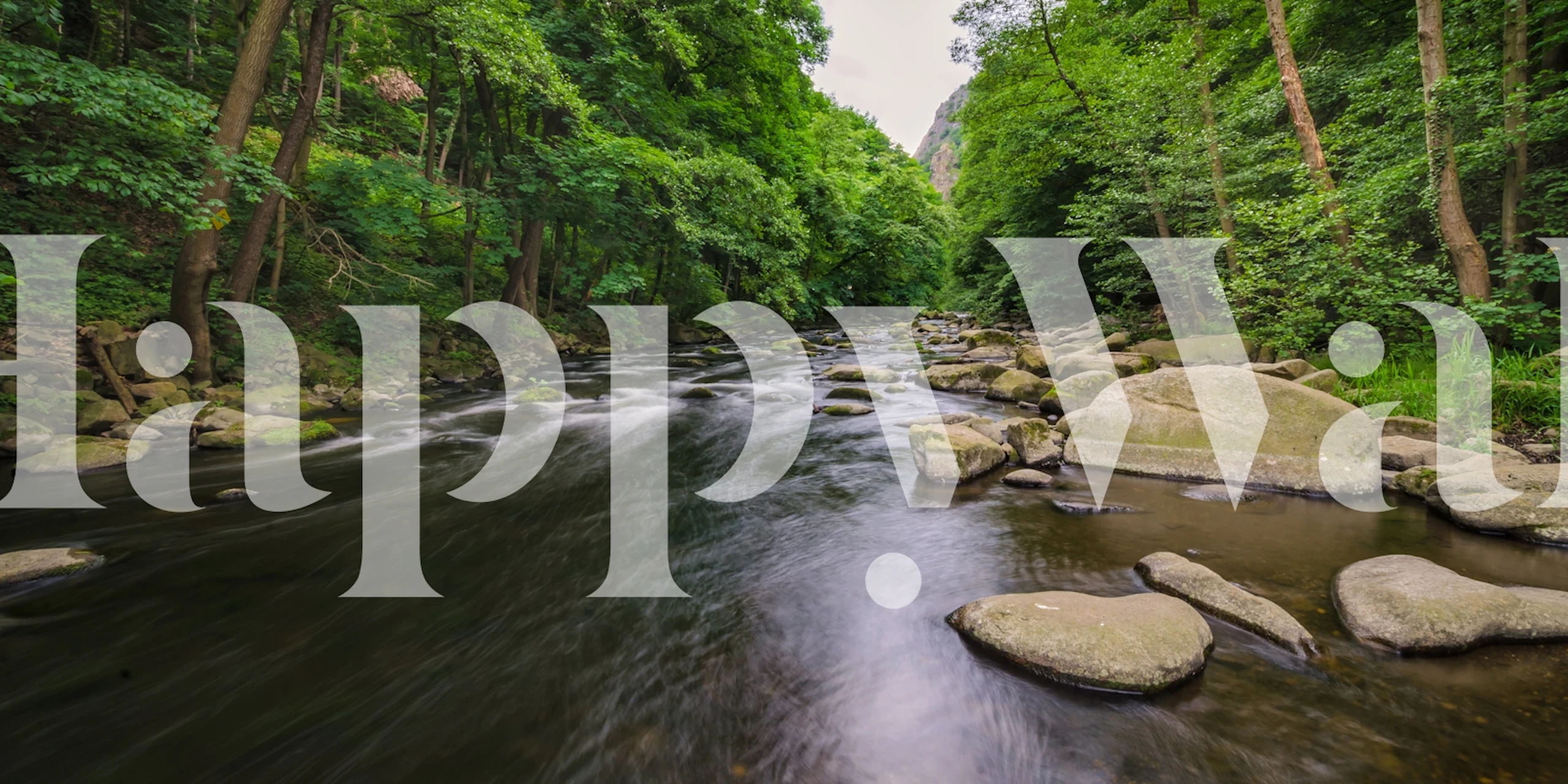 Lush green forest with flowing river and smooth stones wallpaper