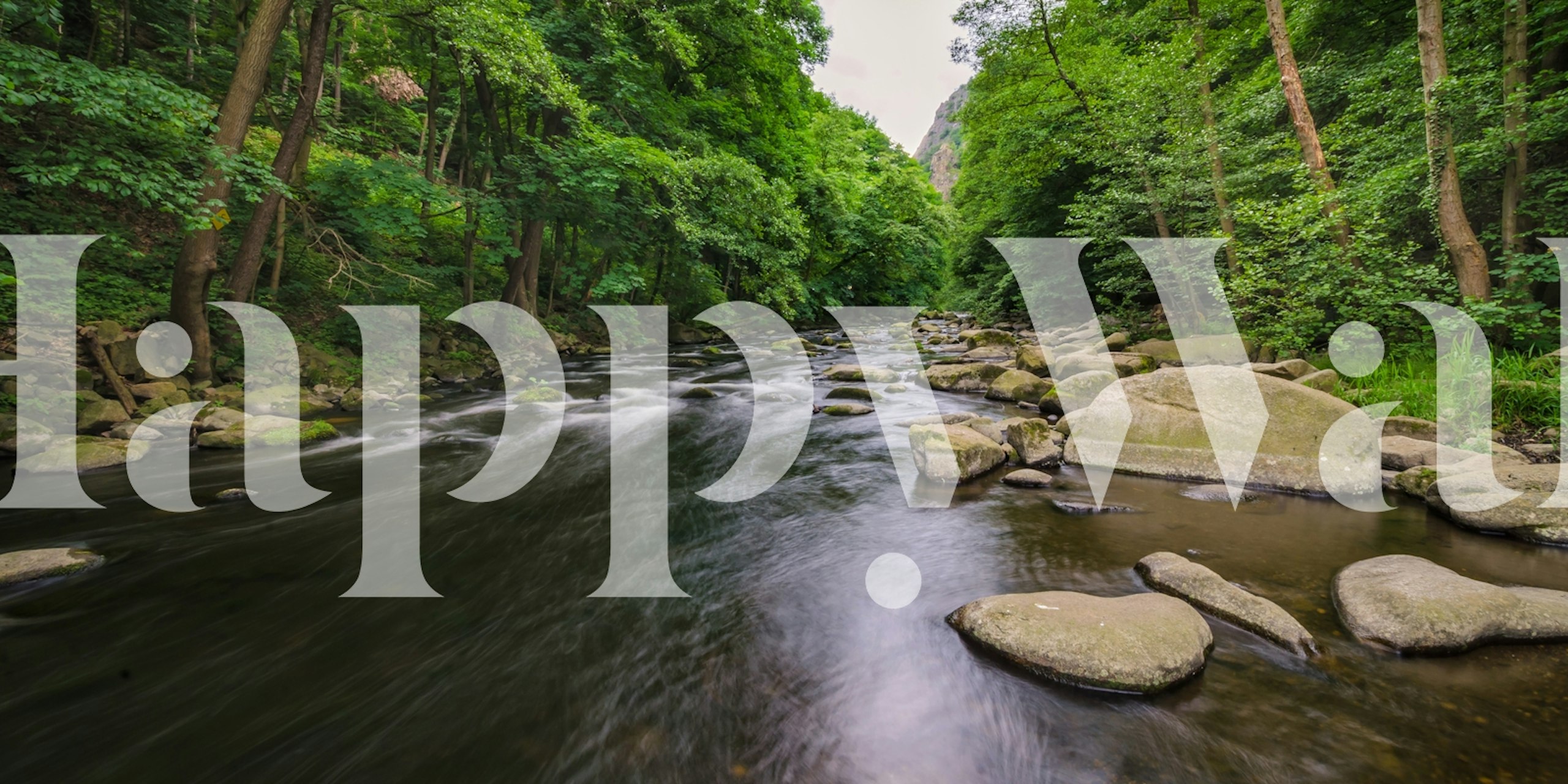 Lush green forest with flowing river and smooth stones wallpaper