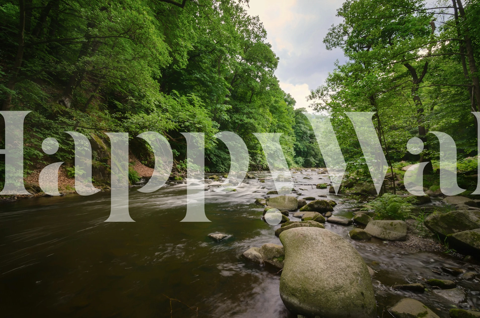 Design de papier peint Riverside avec verdure