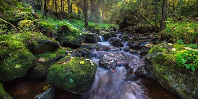 Τοιχογραφία