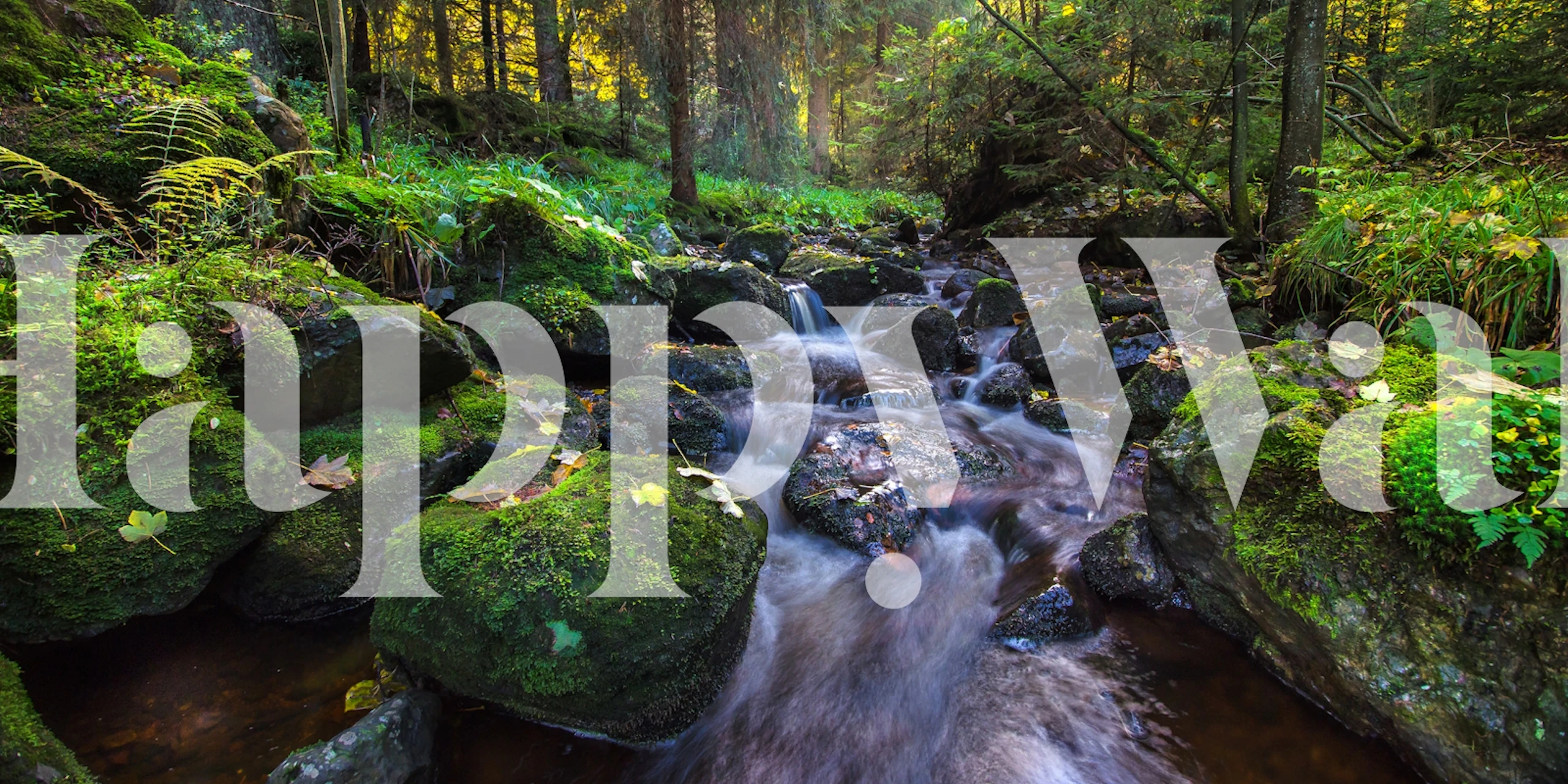 Magical Autumn by the Lake behangontwerp