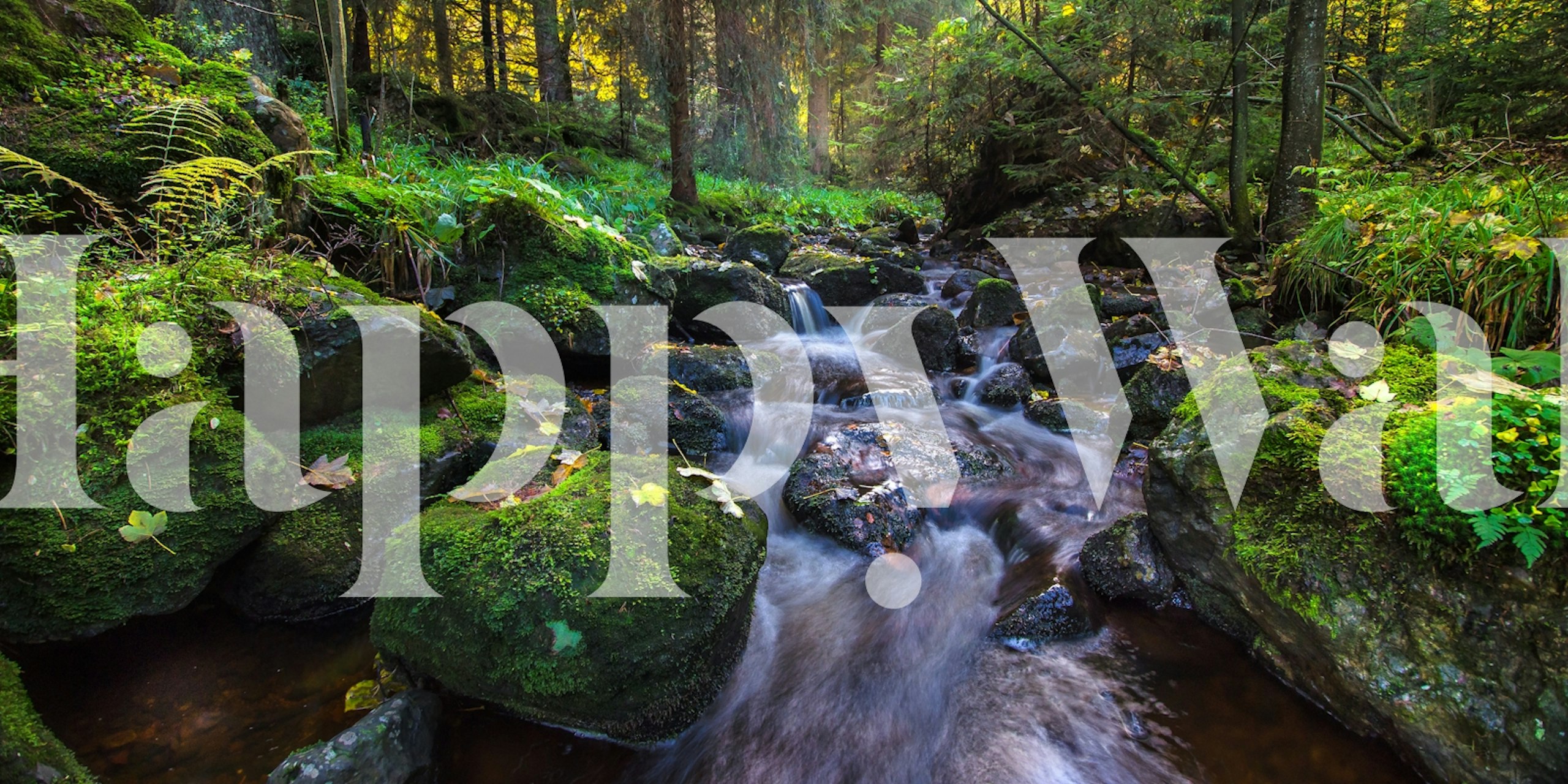 Magical Autumn by the Lake wallpaper design