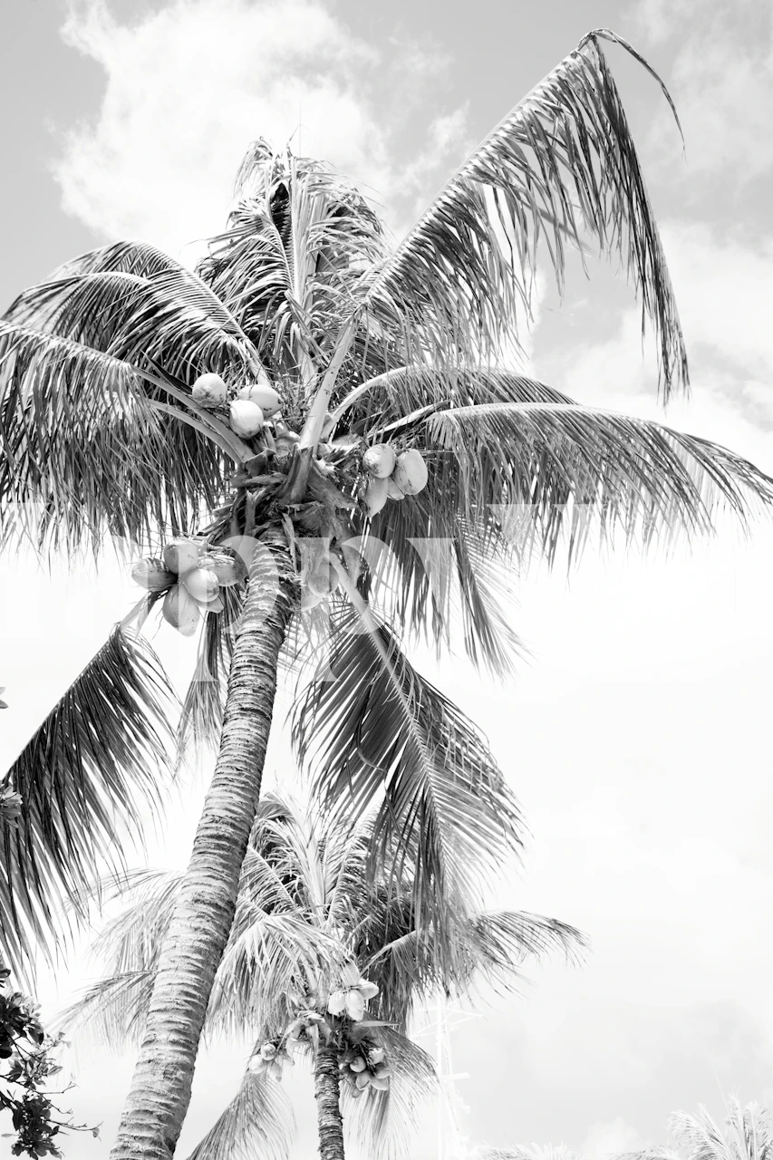 Vintage Summer Paradise Palm 2 in een kamer