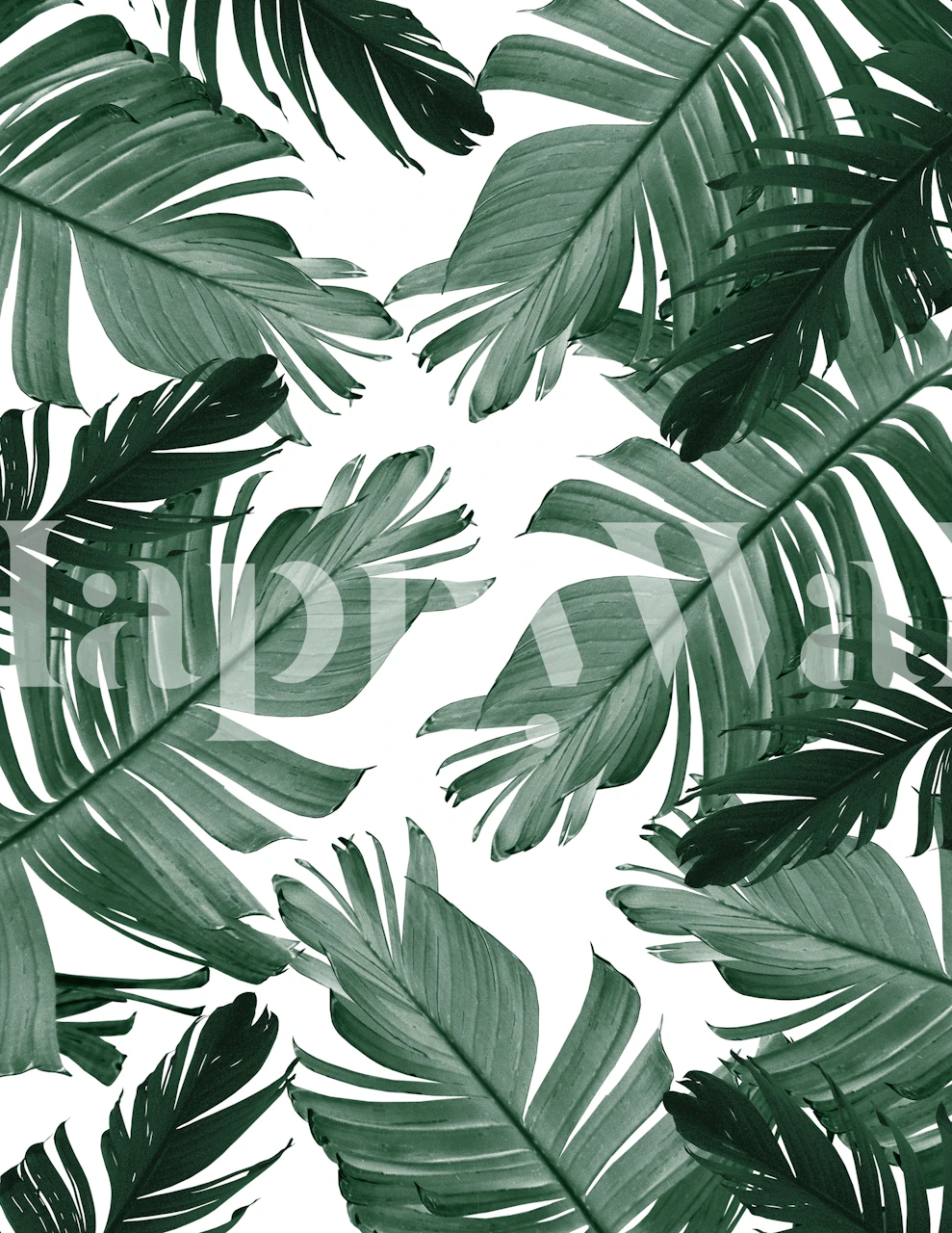 Banana Leaves Pattern wallpaper in a room