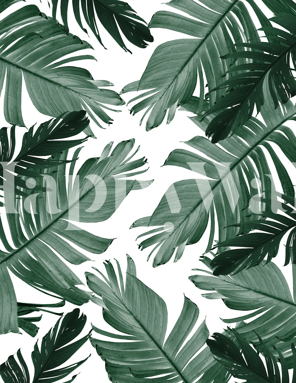 Banana Leaves Pattern wallpaper in a room