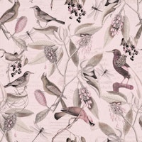 Vintage Magnolia Flowers And Birds Pink wallpaper