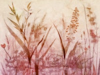 Peach Meadow Flowers tapete