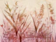Peach Meadow Flowers