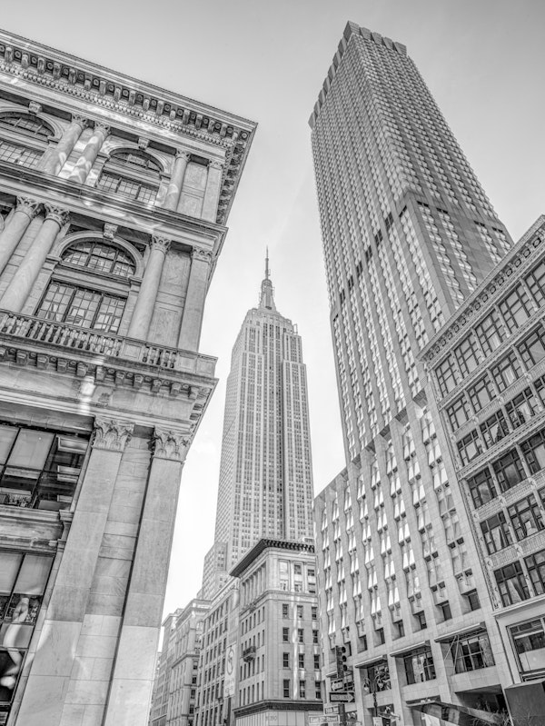 Lower Manhattan cityscape
