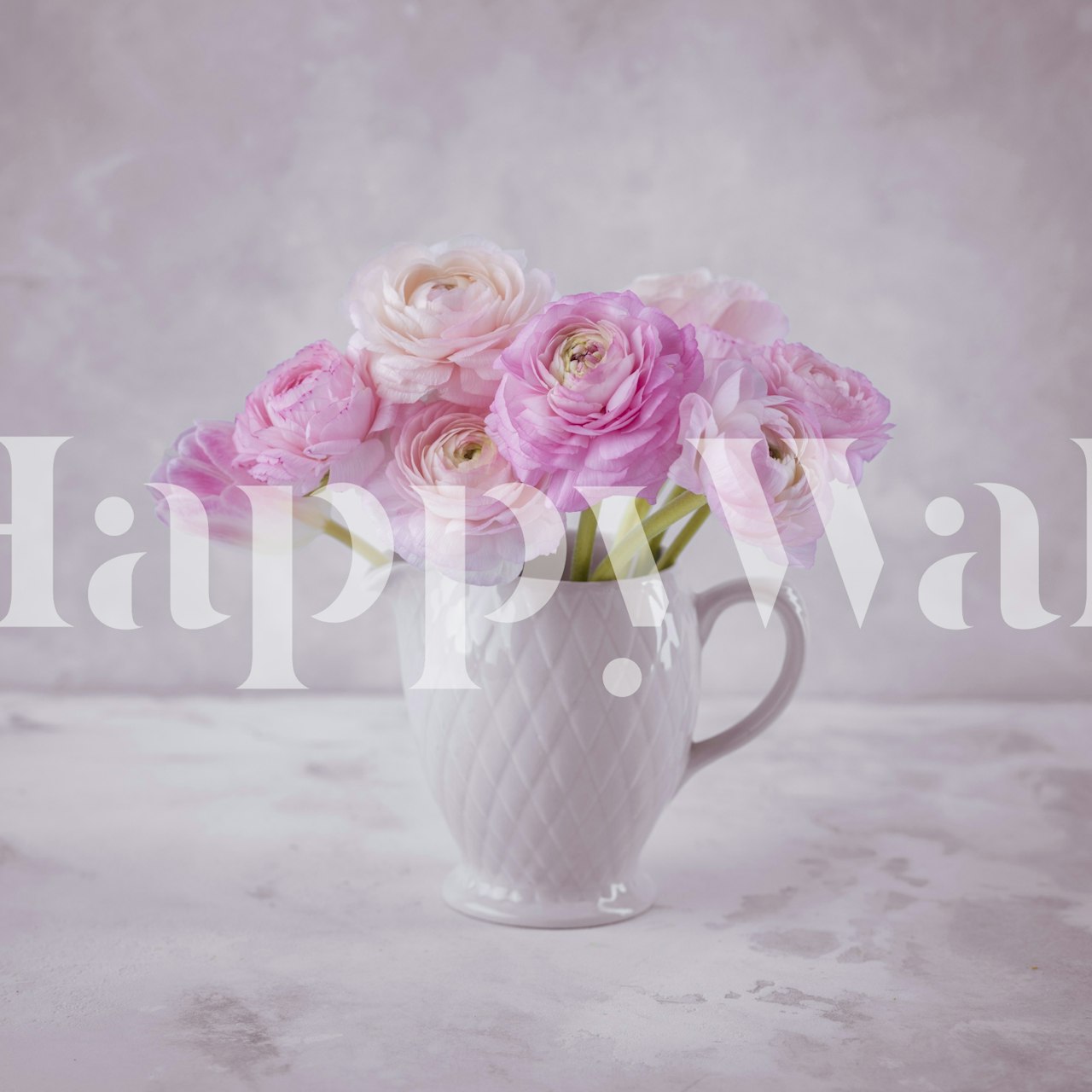 Pink ranunculus flowers in a white vase wallpaper